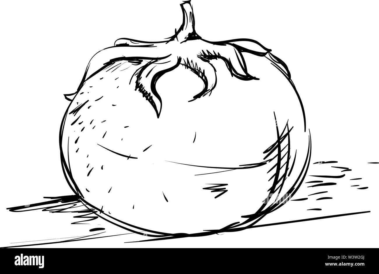 Disegno di pomodoro, illustrazione vettore su sfondo bianco Illustrazione Vettoriale
