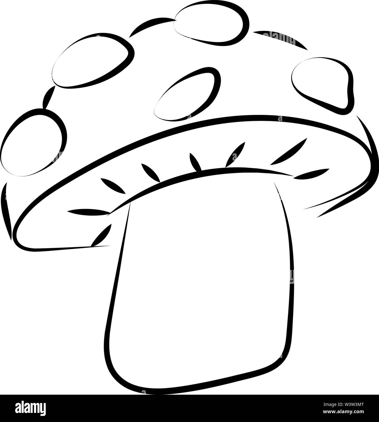 Disegno di fungo, illustrazione vettore su sfondo bianco. Illustrazione Vettoriale