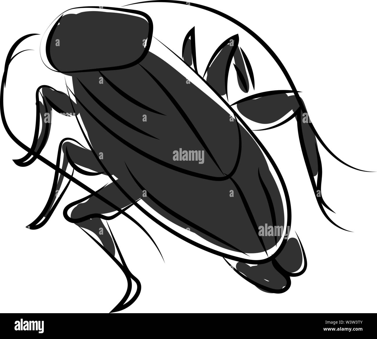 Scarafaggio nero, illustrazione vettore su sfondo bianco. Illustrazione Vettoriale