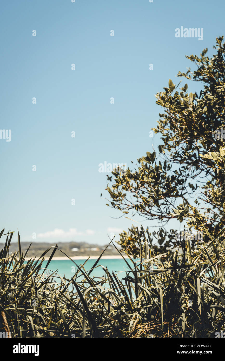 South West Rocks, Nuovo Galles del Sud, Australia - 27 dicembre 2017: affacciato sulla spiaggia in una limpida giornata estiva. Foto Stock