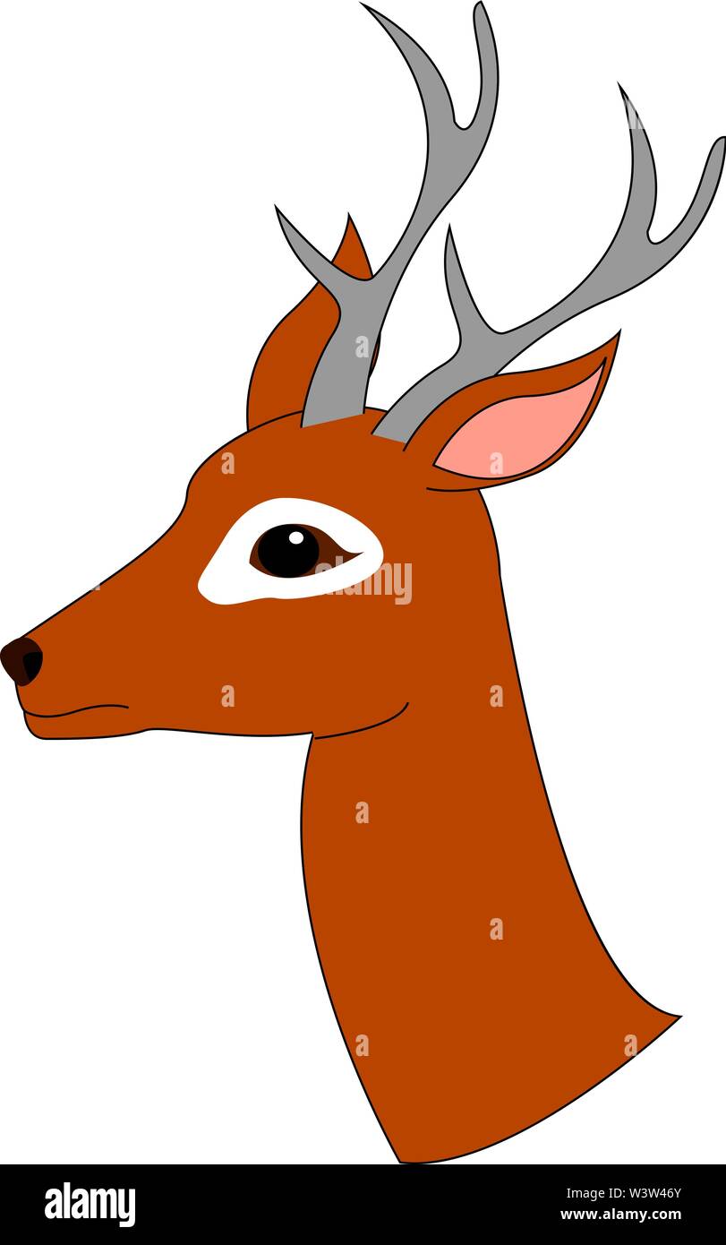 Giovane cervo, illustrazione vettore su sfondo bianco. Illustrazione Vettoriale