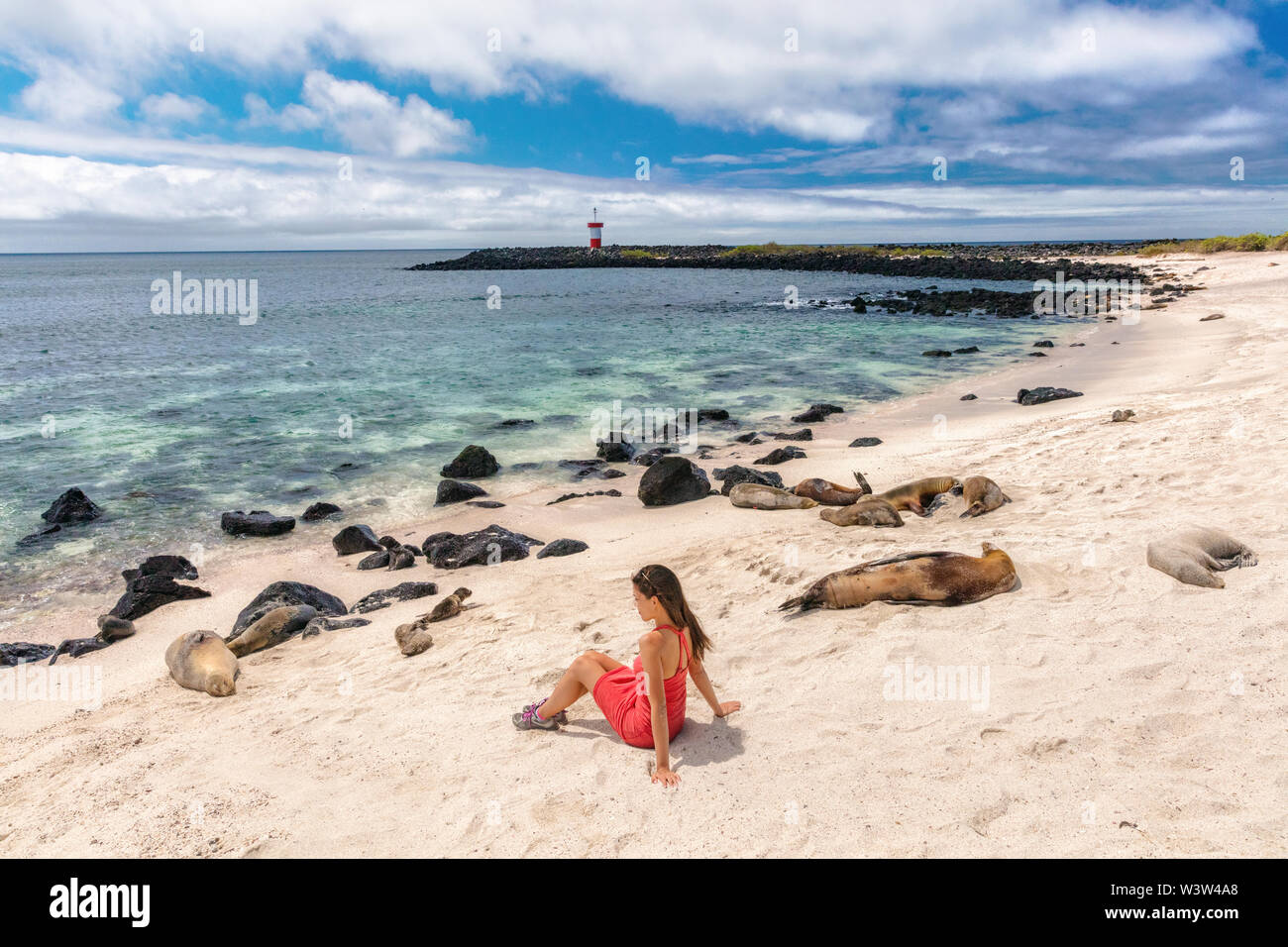 Galapagos turista godere guardando seduto da Galapagos Sea Lions Foto Stock