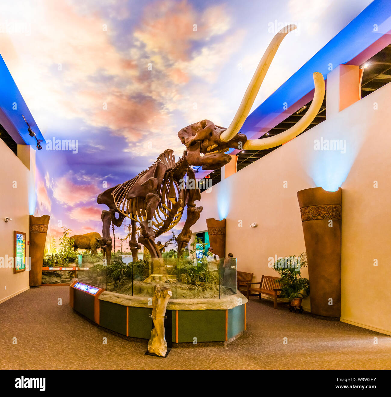 Il Vescovo Museo di Scienza e Natura in precedenza il South Florida Museum di Bradenton Florida Foto Stock