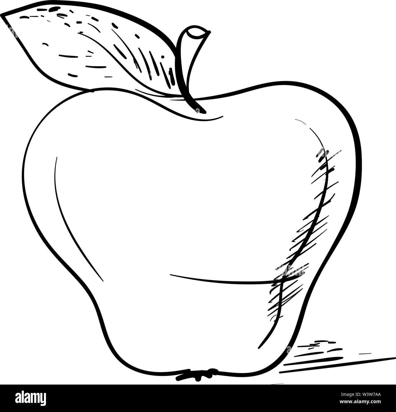 Disegno di Apple, illustrazione vettore su sfondo bianco. Illustrazione Vettoriale