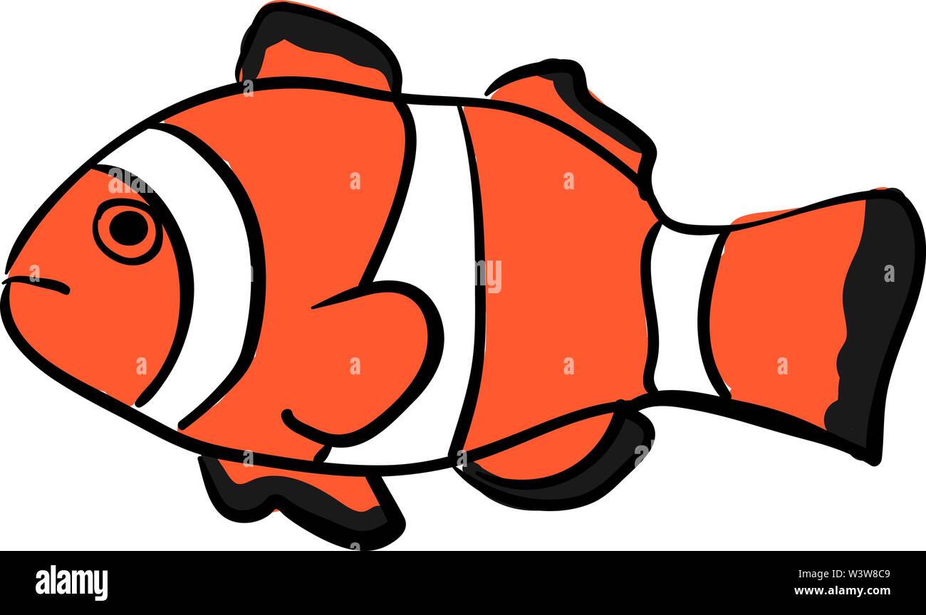 Clownfish, illustrazione vettore su sfondo bianco. Illustrazione Vettoriale