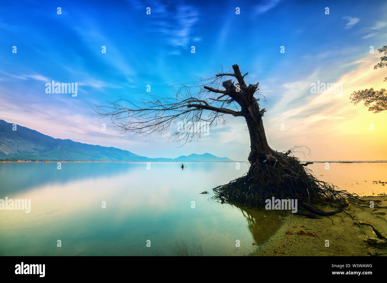 Lonely rami di alberi nella grande laguna all'alba con cielo drammatico il benvenuto al nuovo giorno Foto Stock