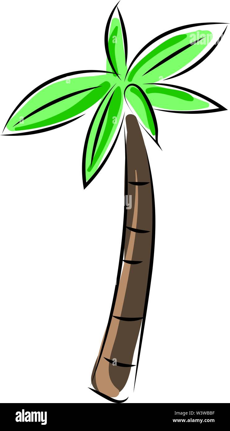 Palm tree, illustrazione vettore su sfondo bianco. Illustrazione Vettoriale