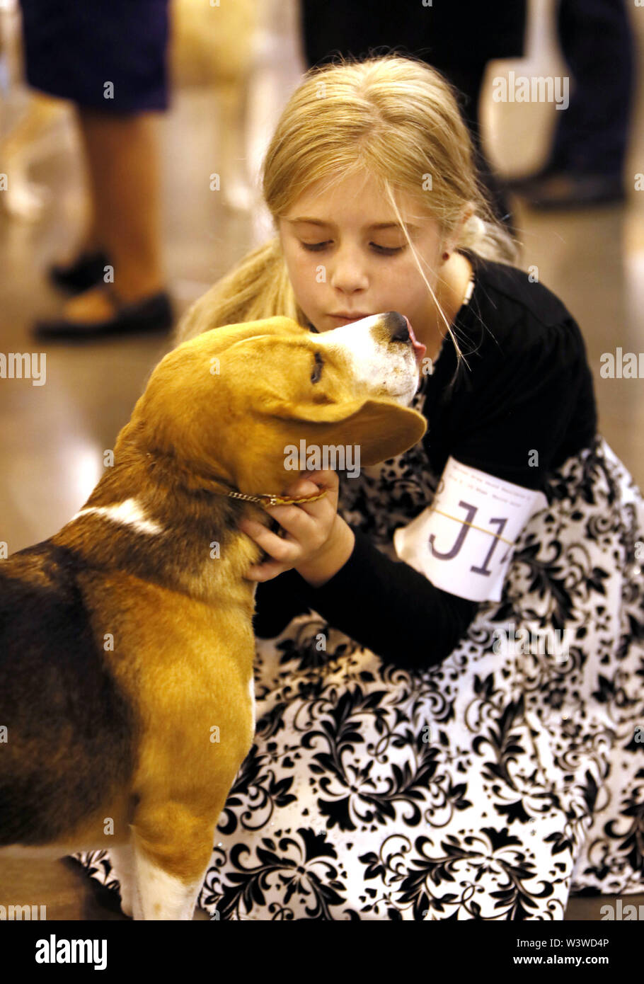 Houston, Stati Uniti d'America. 17 Luglio, 2019. Una donna partecipa all'annuale quarantaduesima Houston World Series di cane mostra a Houston in Texas, negli Stati Uniti, il 17 luglio 2019. Durante i cinque giorni di esecuzione, la mostra ospitare competizioni ogni giorno nel quale gli espositori guadagnare punti in campionato in molti eventi. La mostra ha una varietà di esperti in materia di allevamento e genetica, sicurezza degli animali e di primo soccorso nonché in specifiche dog show eventi e cultura. Essa durerà fino al 21 luglio. Credito: Steven Song/Xinhua/Alamy Live News Foto Stock