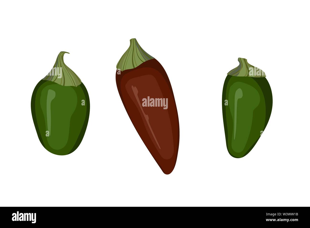Il verde e il rosso peperoncino jalapeno. Illustrazione Vettoriale. Verdure piccanti. Illustrazione Vettoriale