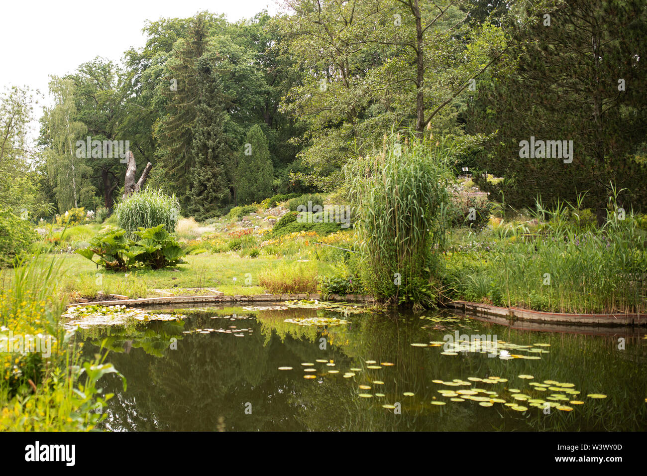 Il giardino d'acqua nel Giardino Paradiso del Giardino Botanico di Potsdam, Germania. Foto Stock