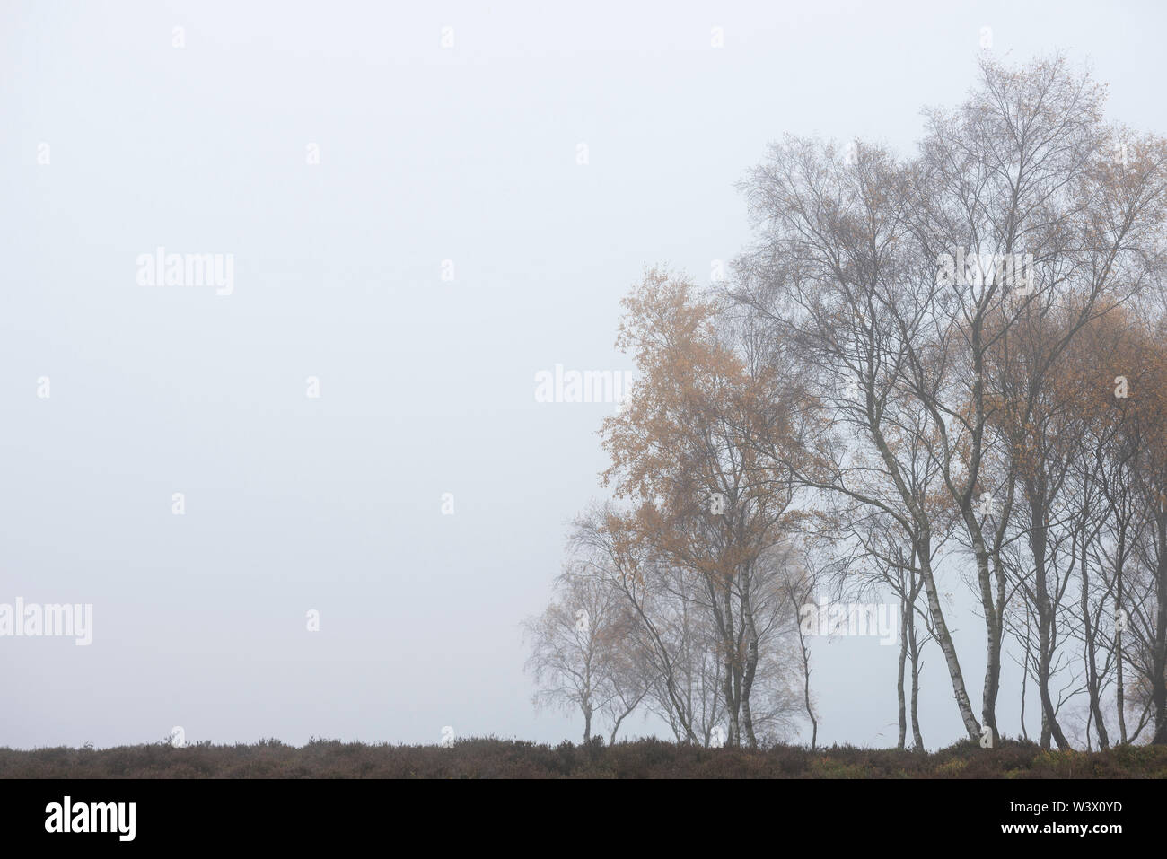 Bella vibrante Autumn Fall paesaggio nella nebbia Peak District in Inghilterra Foto Stock
