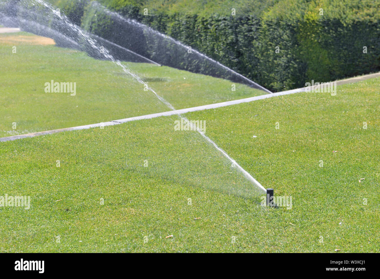 Irrigazione sprinkler il prato in un parco Foto Stock