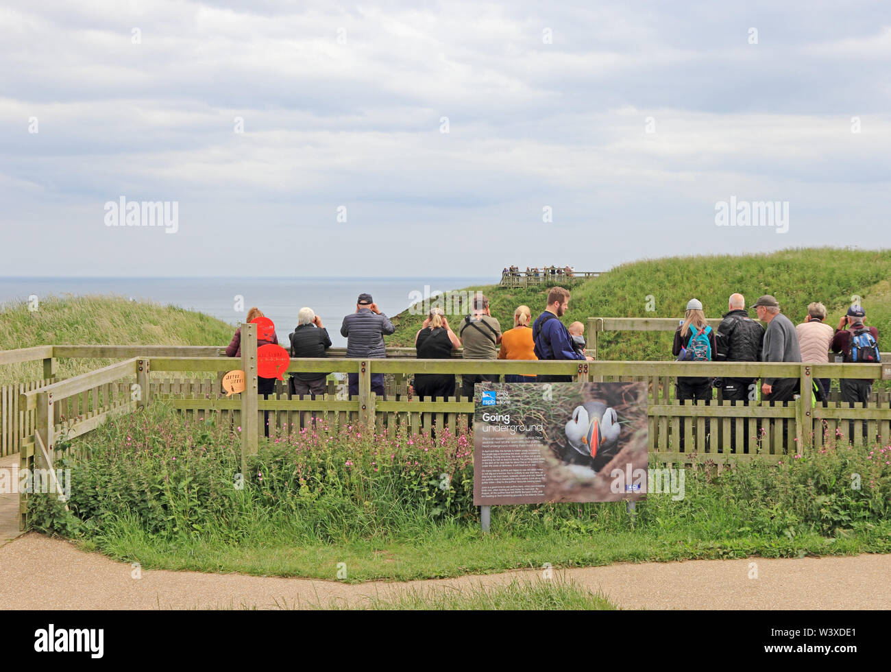 I visitatori guardano fuori per uccelli nidificanti su Bempton Cliffs Foto Stock