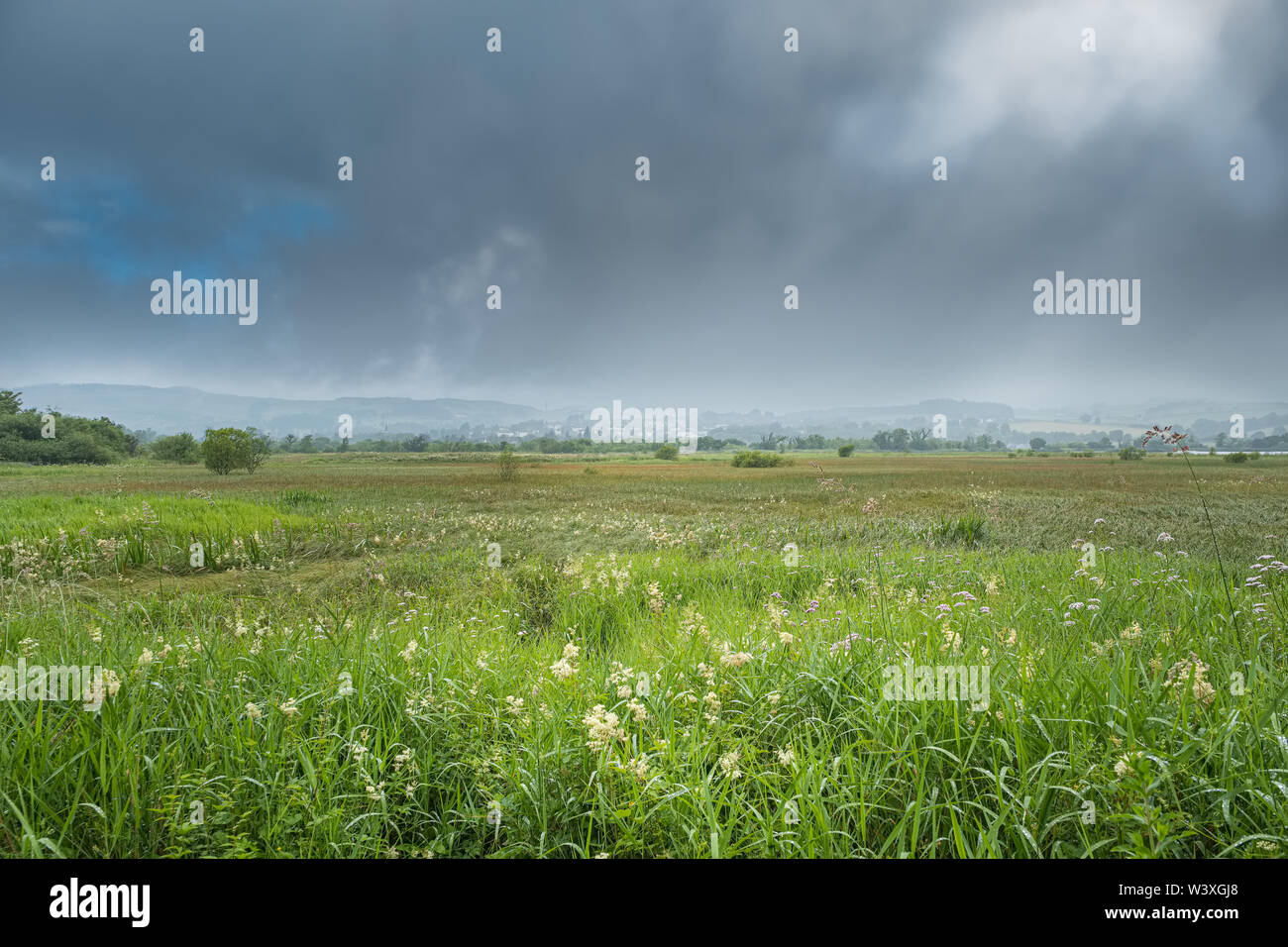 Guardando oltre il castello dal tempio di Lochwinnoch nel Renfrewshire Scozia su un estati bagnate giorno in Scozia Foto Stock