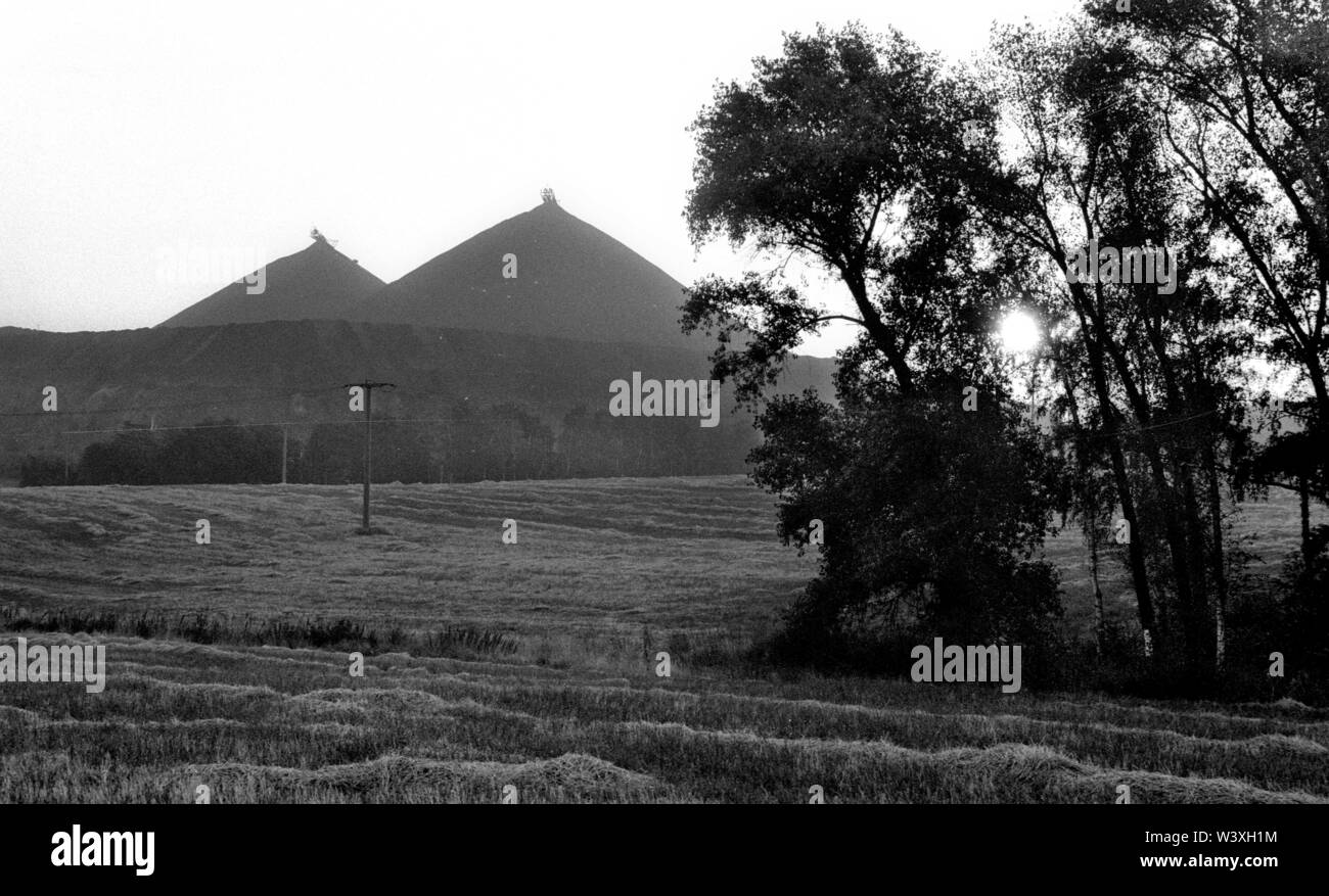 Archiviato - 01 gennaio 1992, Berlino, Ronneburg: Turingia/RDT/energia/1992 discariche di uranio in Ronneburg il risanamento di grandi danni ambientali ha iniziato a. Il cumulo è appiattita e terrazze sono stabiliti, boccole sono piantati. Accesso per la popolazione non sarà possibile per un periodo di tempo molto lungo. I lavori di ristrutturazione saranno effettuati da WISMUT AG. Un escavatore distribuisce una miscela di terriccio e frassino // Erzgebirge/ambiente/Atom/uranio/Mining Il German-Soviet joint stock company è stata fondata dopo la nascita della Repubblica democratica tedesca per consentire l'Unione Sovietica ulteriore accesso di uranio nel Erzge Foto Stock