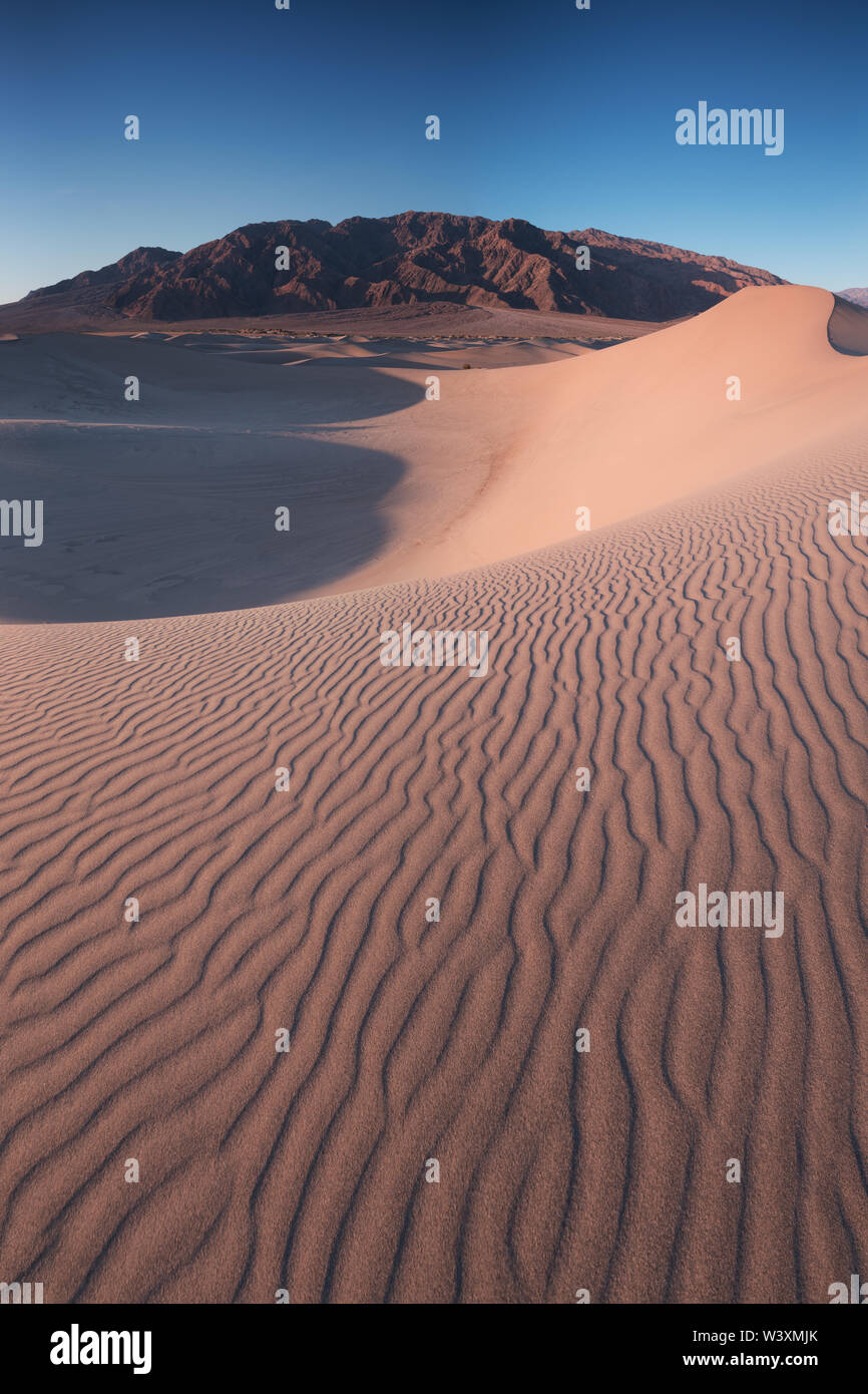 Sole di mattina presto su dune di sabbia e montagne a Mesquite dune pianeggianti, Death Valley National Park, California Stati Uniti Stovepipe Wells dune di sabbia, Foto Stock