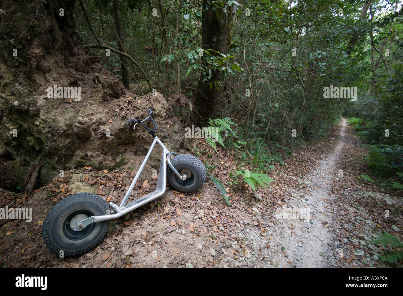 Discesa con la mountain scooter sono un modo avventuroso per esplorare la Foresta di Knysna, Garden Route National Park, Knysna, Provincia del Capo occidentale del Sud Africa Foto Stock