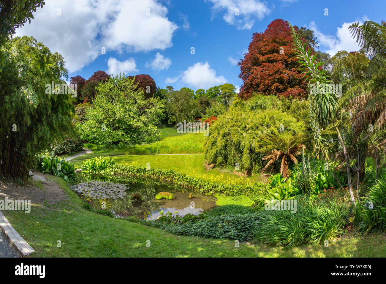 Giardino Trebah; Cornovaglia; Regno Unito Foto Stock