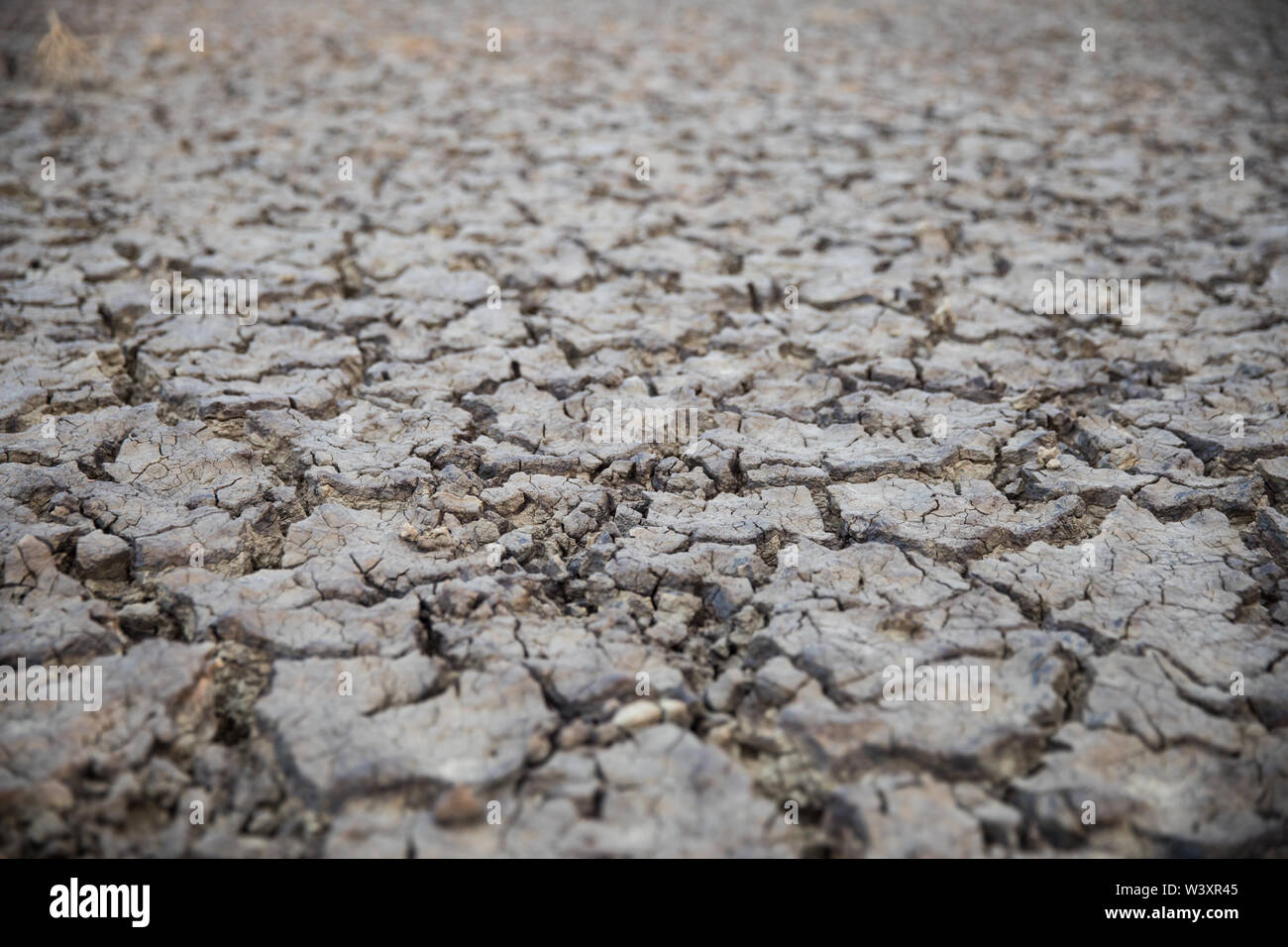 La creta nel fondo di una diga a secco è incrinato e essiccato in zone aride Tankwa Karoo National Park, nel nord della provincia del Capo, in Sud Africa, Foto Stock