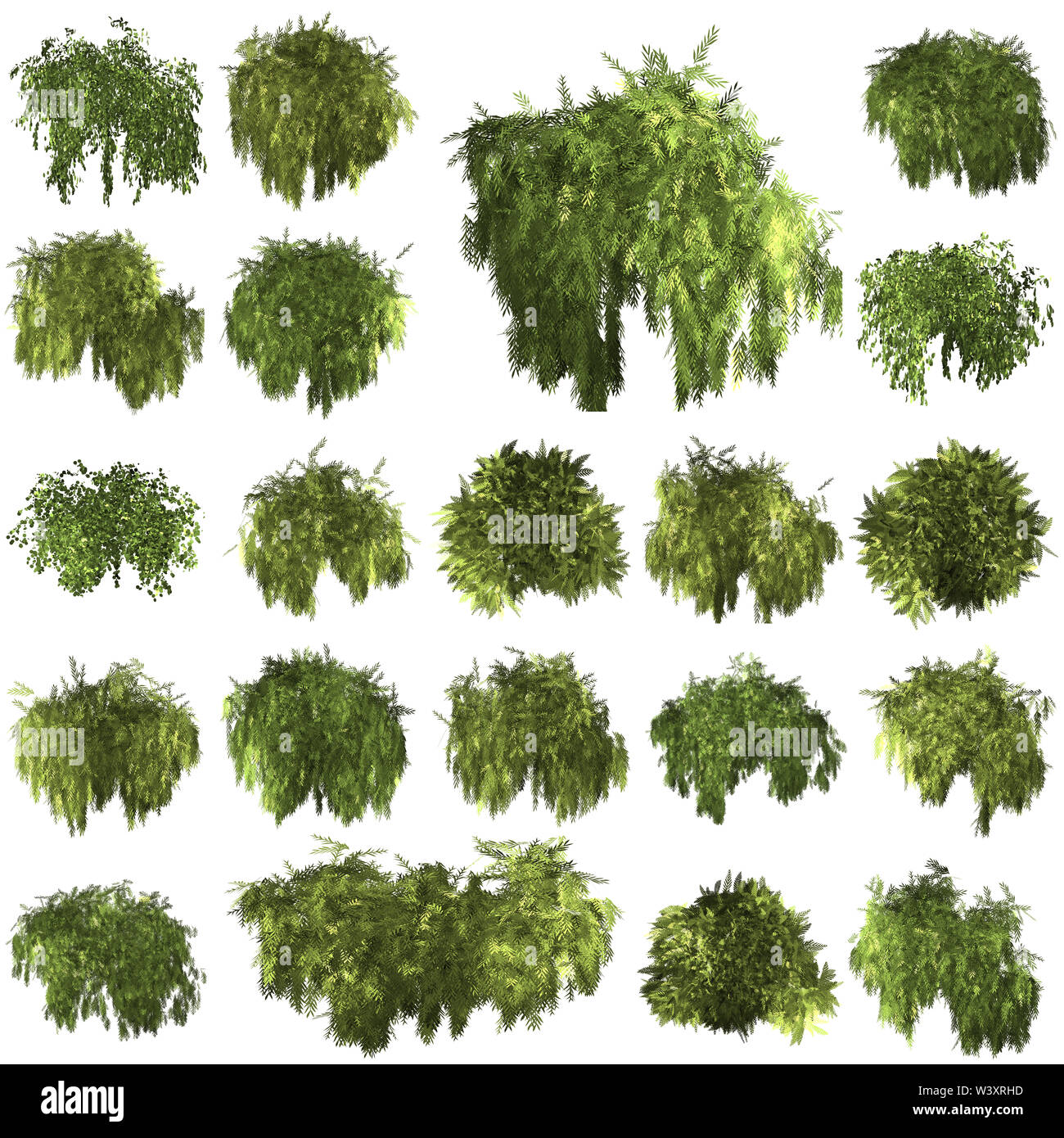 Forrest Green Tree background. 2 Impostare l'illustrazione albero. Foto Stock