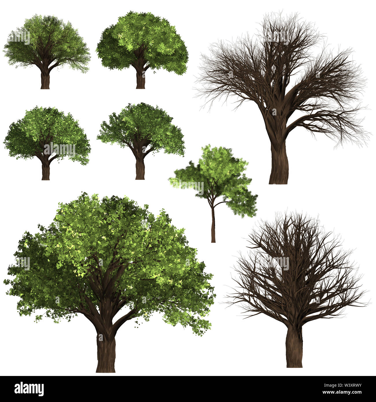Forrest Green Tree background. 2 Impostare l'illustrazione albero. Foto Stock