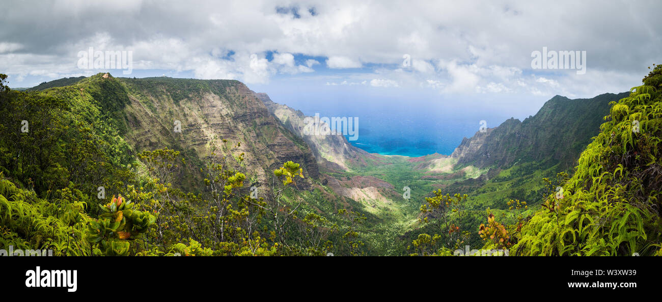 Valle Kalalau Lookout, Kokee State Park, Waimea Canyon è uno dei più spettacolari viste sul Kauai, Hawaii, Stati Uniti d'America. Foto Stock