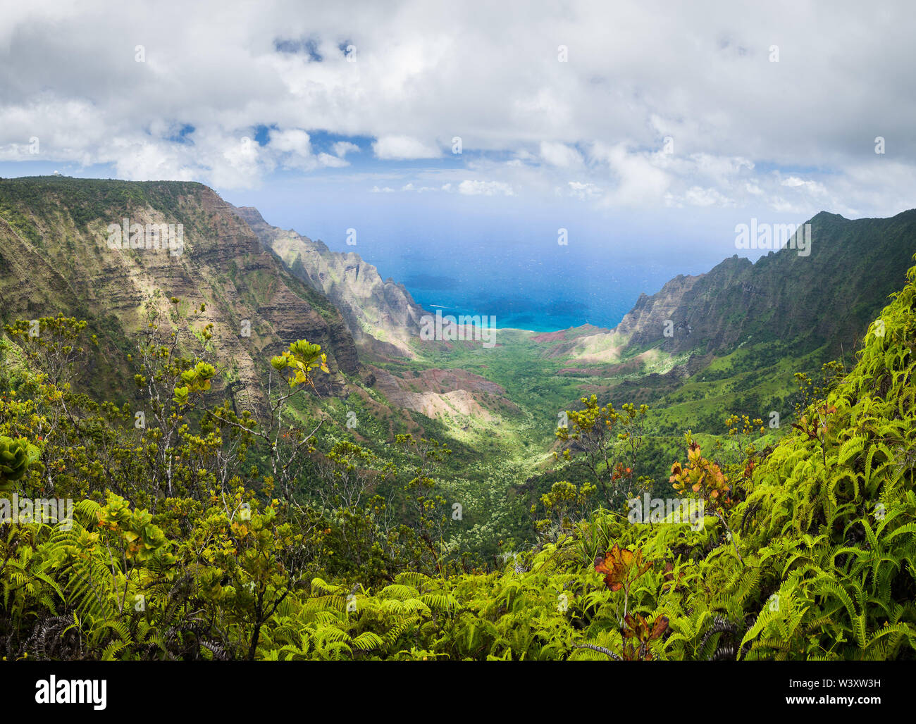 Valle Kalalau Lookout, Kokee State Park, Waimea Canyon è uno dei più spettacolari viste sul Kauai, Hawaii, Stati Uniti d'America. Foto Stock