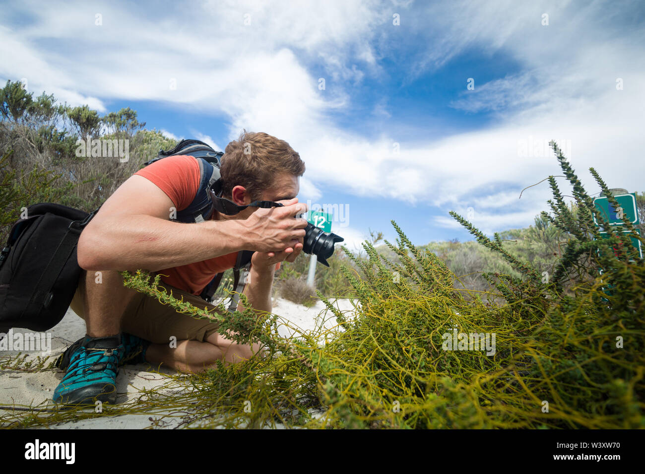 Agulhas National Park protegge il Fynbos habitat e offre percorsi di trekking e pettinatura sulla spiaggia vicino a Cape Agulhas, Western Cape, Sud Africa. Foto Stock