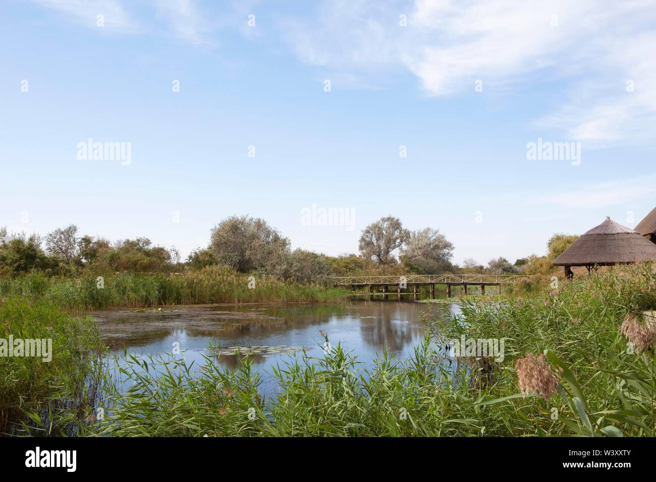 Laguna a braccio del Danubio Sfantu-Gheorghe, il Delta del Danubio Riserva della Biosfera, Dobruja, Romania Foto Stock