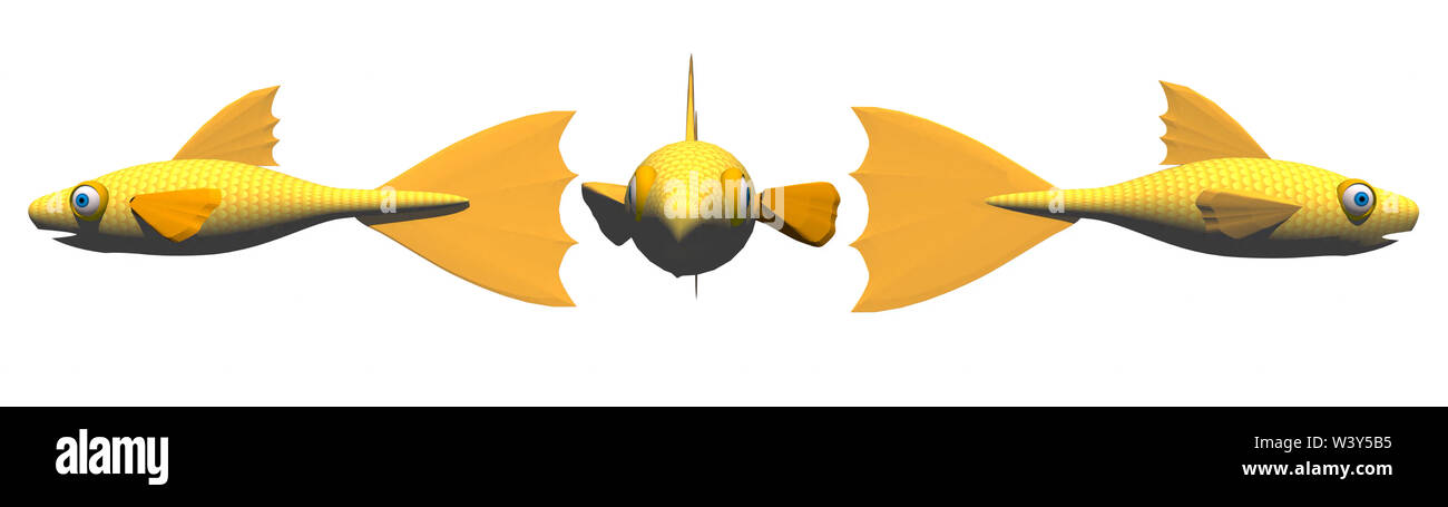 Illustrazione della goldfish lateralmente e di fronte al confine di forma su sfondo bianco Foto Stock