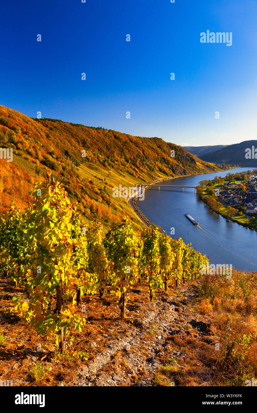 Autunno del paesaggio della valle del fiume Mosella in Germania su una bella cascata di giorno con il sole e un cielo blu, Germania, Europa Foto Stock Autunno del paesaggio della valle del fiume Mosella in Germania su una bella cascata di giorno con il sole e un cielo blu, Germania, Europa Foto Stock