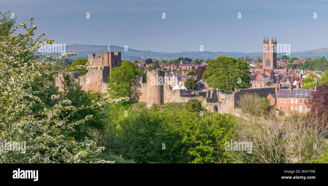 Regno Unito, Inghilterra, Shropshire, Ludlow, Ludlow Castle Foto Stock