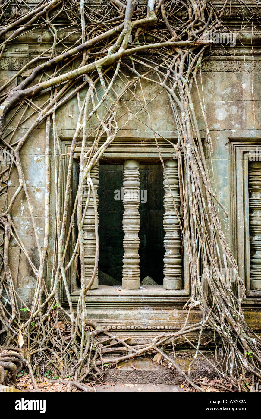 Prasat Beng Mealea rovine di templi, Siem Reap Provincia, Cambogia Foto Stock