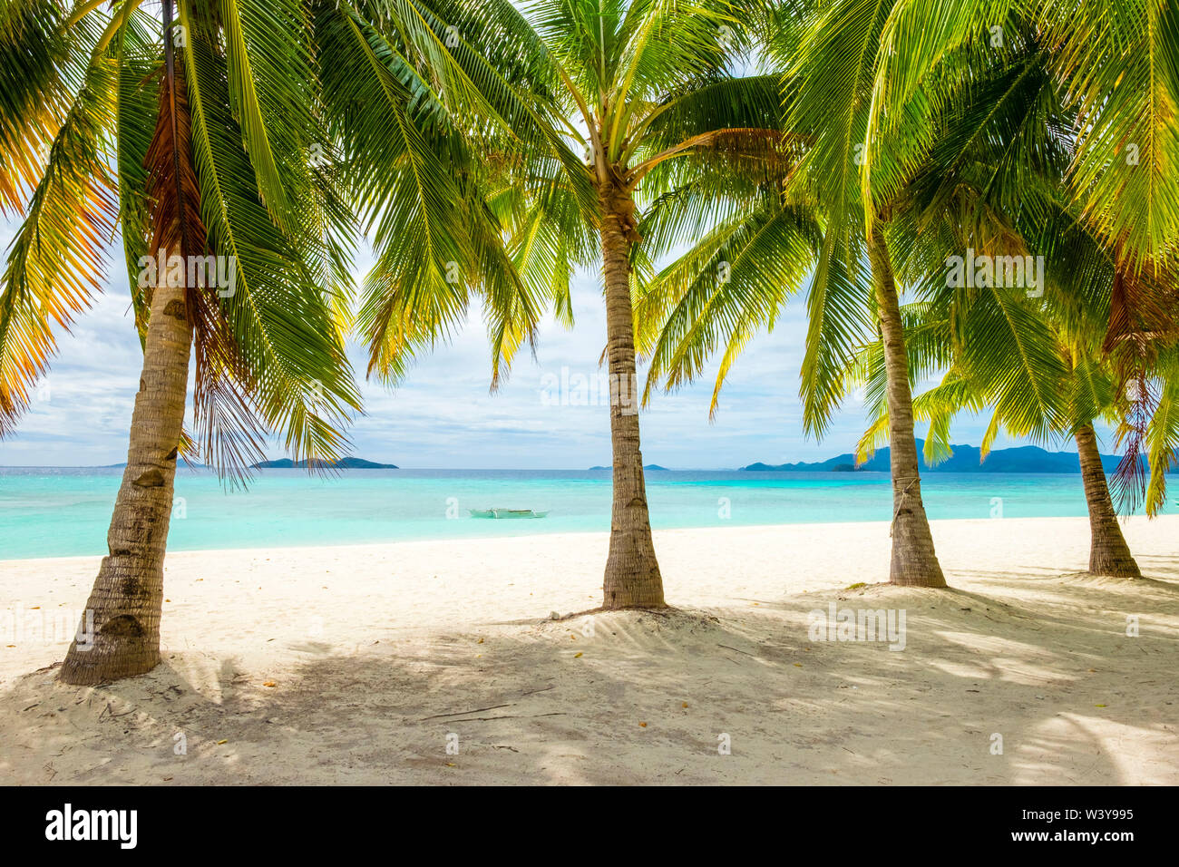 Palme e acqua blu sulla spiaggia di sabbia bianca di Isola Malcapuya, Culion, PALAWAN FILIPPINE Foto Stock