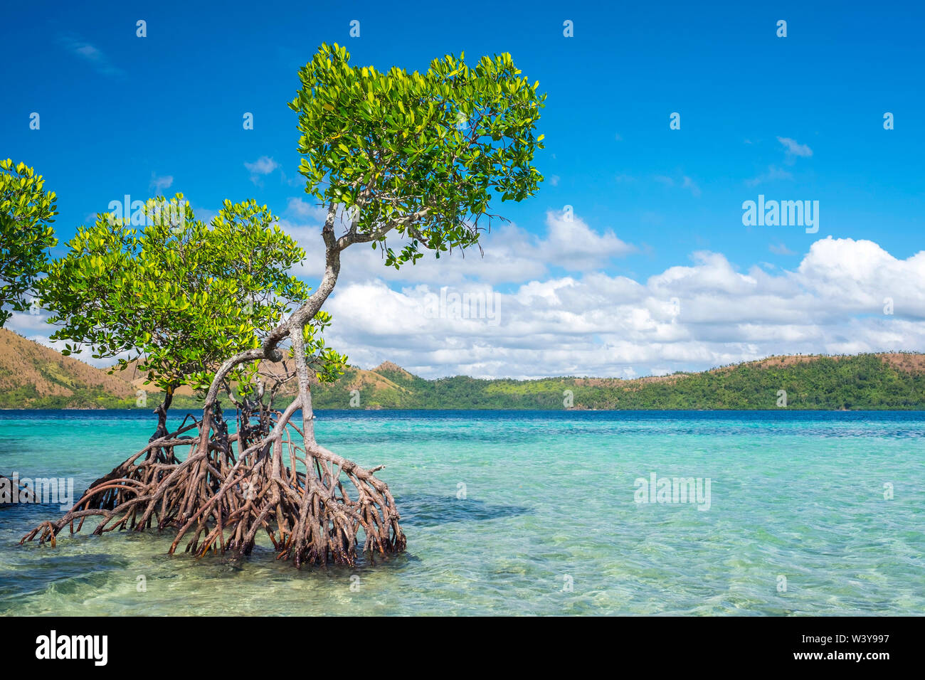 CYC Isola, Coron, PALAWAN FILIPPINE Foto Stock