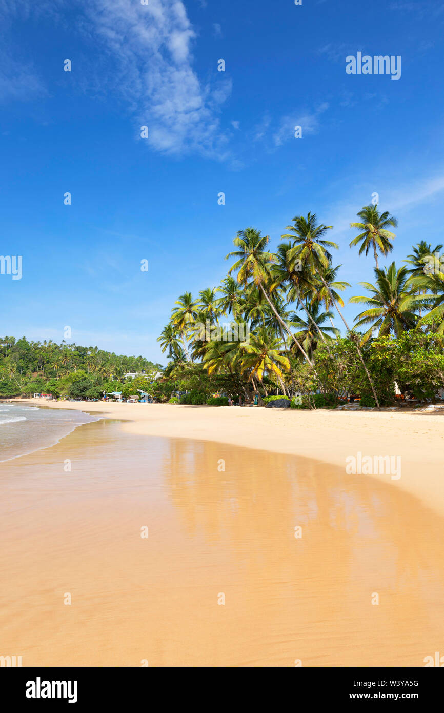 Mirissa beach, a sud della provincia, Sri Lanka Foto Stock