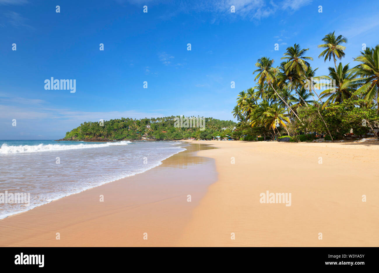 Mirissa beach, a sud della provincia, Sri Lanka Foto Stock