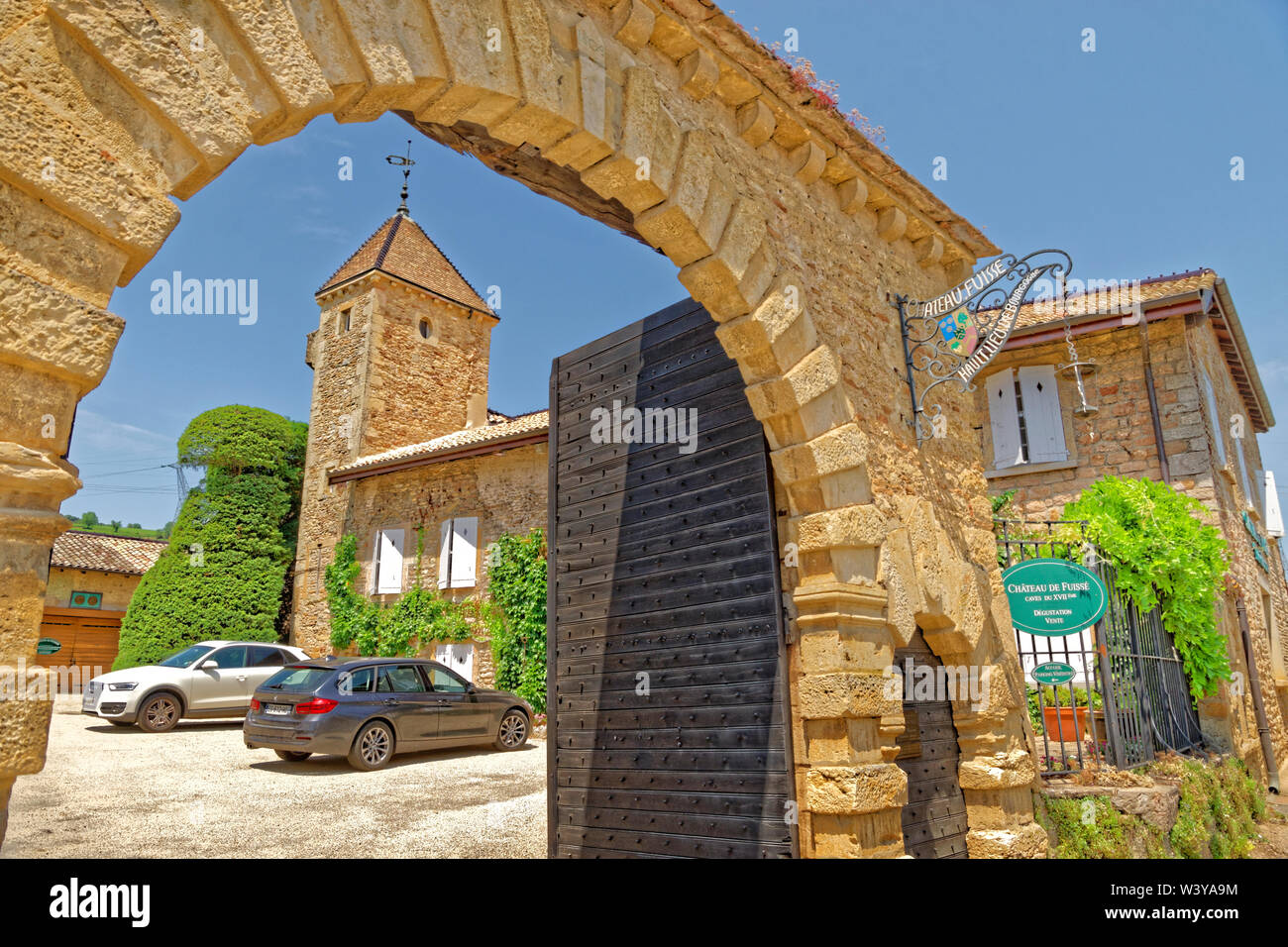 Chateau Fuissé vigna a Fuissé, area Pouilly-Fuissé, Borgogna, Francia. Foto Stock