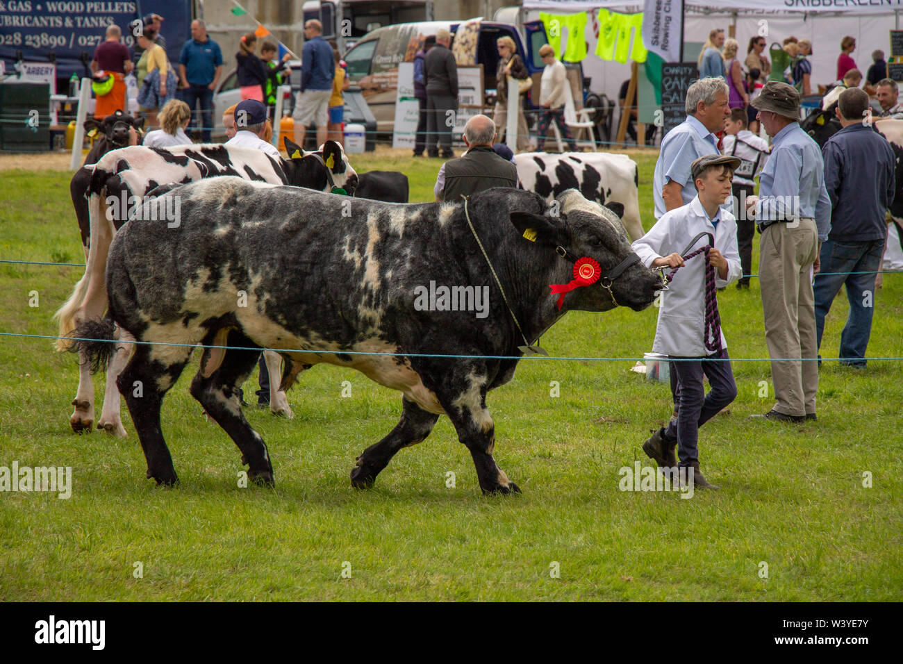 Skibbereen, West Cork, Irlanda, 18 luglio 2019, il sole splendeva sulle Carbery mostrano oggi permettendo alla comunità di mostrare i loro animali, cavalcare i loro cavalli e godetevi il divertimento dello spettacolo di massa. Aphperspective credito/ Alamy Live News Foto Stock