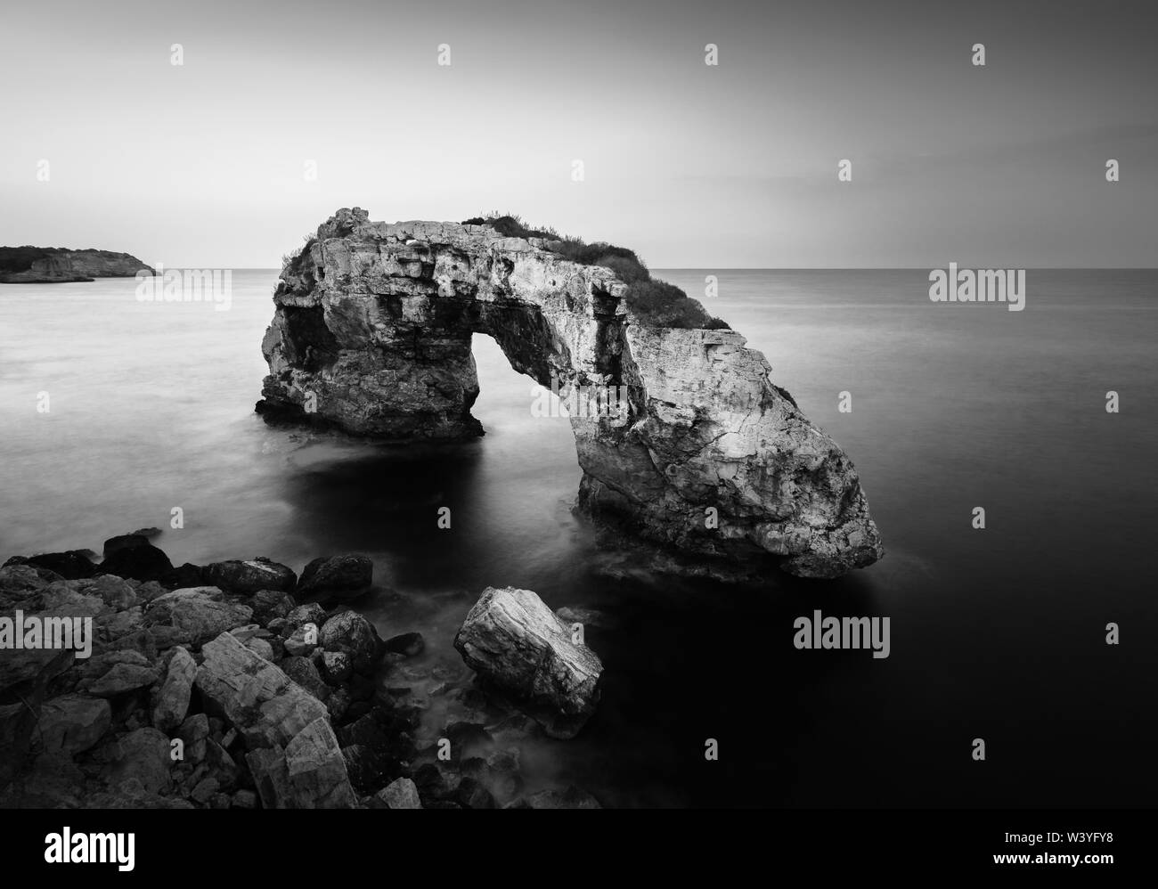 Arco Naturale " Es Pontas' (cat.: il grande ponte) in Santanyi, Maiorca, Spagna prima del sorgere del sole (bianco e nero) con piante come primo piano - paesaggio Foto Stock