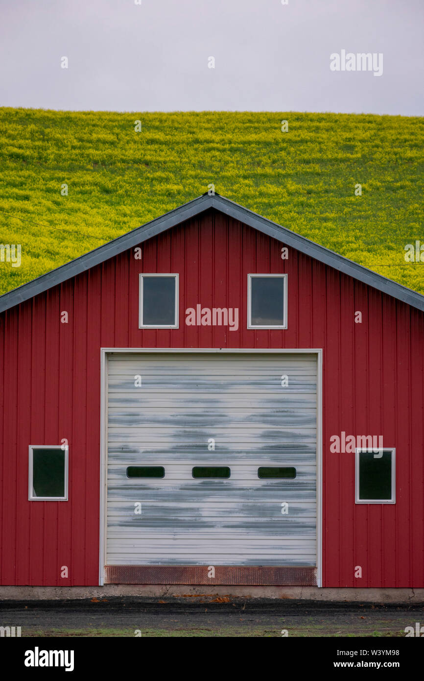 Granaio rosso tra Steptoe e Elberton, Palouse paesaggio, nello Stato di Washington Foto Stock