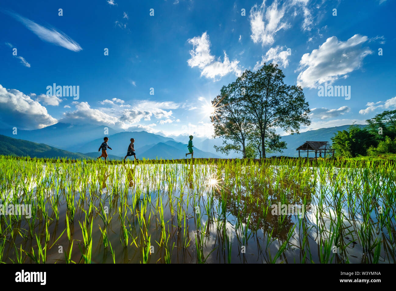 Bambini su terrazze a Y Ty, vicino a Sapa, Lao Cai, Vietnam stessa eredità di mondo Ifugao terrazze di riso in Batad, northern Luzon, Filippine Foto Stock