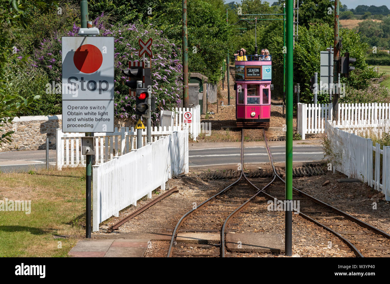 Seaton, Devon, Inghilterra, Regno Unito. Luglio 2019. Seaton tramvia. Tram elettrico. Vettura tranviaria e passeggeri in transito di un passaggio a livello Foto Stock