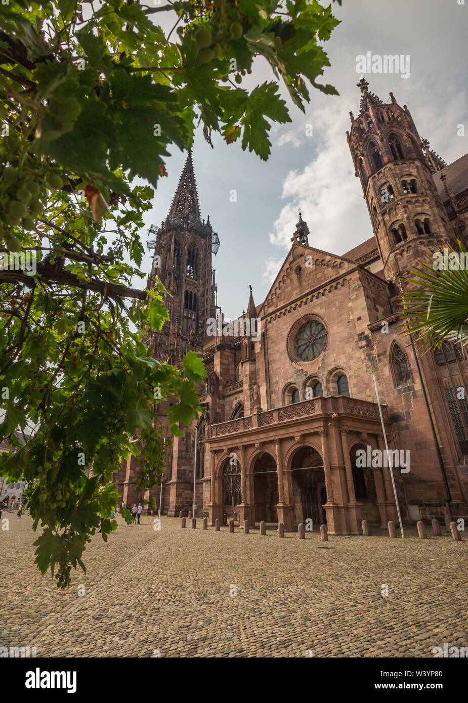 La famosa cattedrale Freiburger Münster in Freiburg, Germania Foto Stock