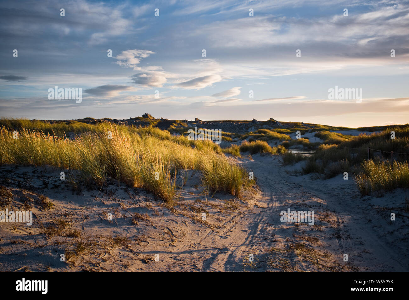 Serata calda luce che cade attraverso le dune vicino a un campo minato appena fuori Stanley, capitale delle Isole Falkland. Foto Stock