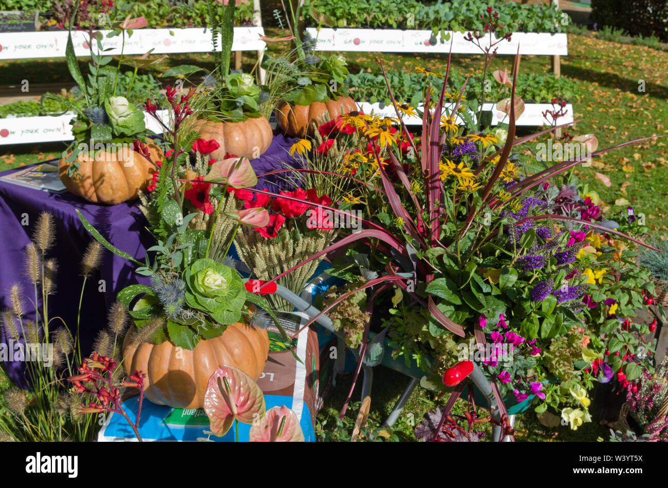 Un display a colori di ortaggi e piante a Althorp Food and Drink Festival, un evento annuale a Althorp House, Northamptonshire, Regno Unito Foto Stock