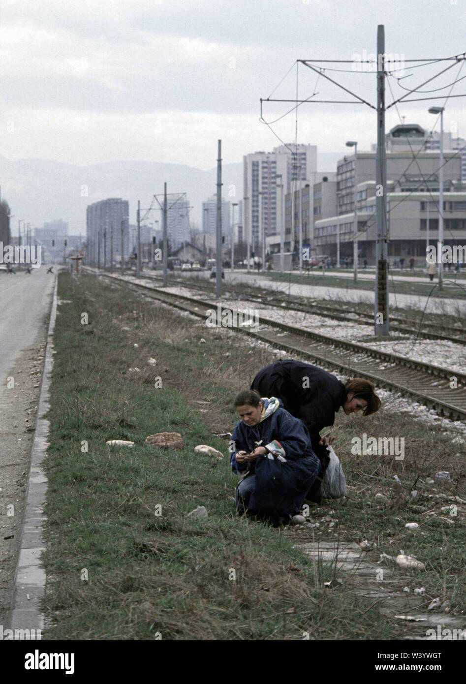 11 aprile 1993 durante l'assedio di Sarajevo: l'utilizzo di coltelli da tavola, donne scavare dei denti di leoni per il cibo nella centrale di prenotazione di Bulevar Mese Selimovica, opposta Alipasino Polje. Foto Stock