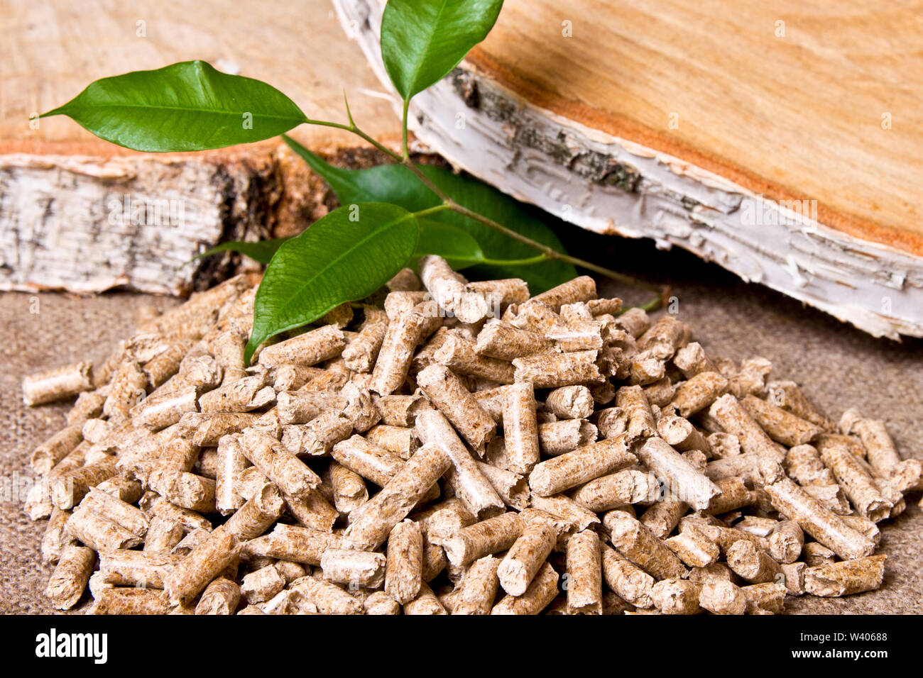 Pellet di legno, betulla e il ramoscello con foglie. La biomassa Pellets- energia a basso costo. Il concetto di produzione di biocarburanti Foto Stock
