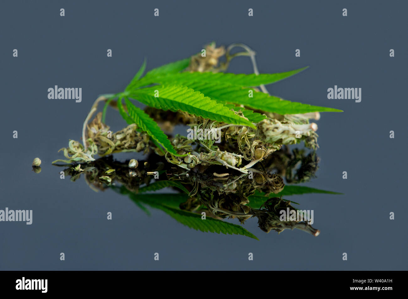 La Cannabis tè alle erbe e foglie di marijuana. Foto Stock