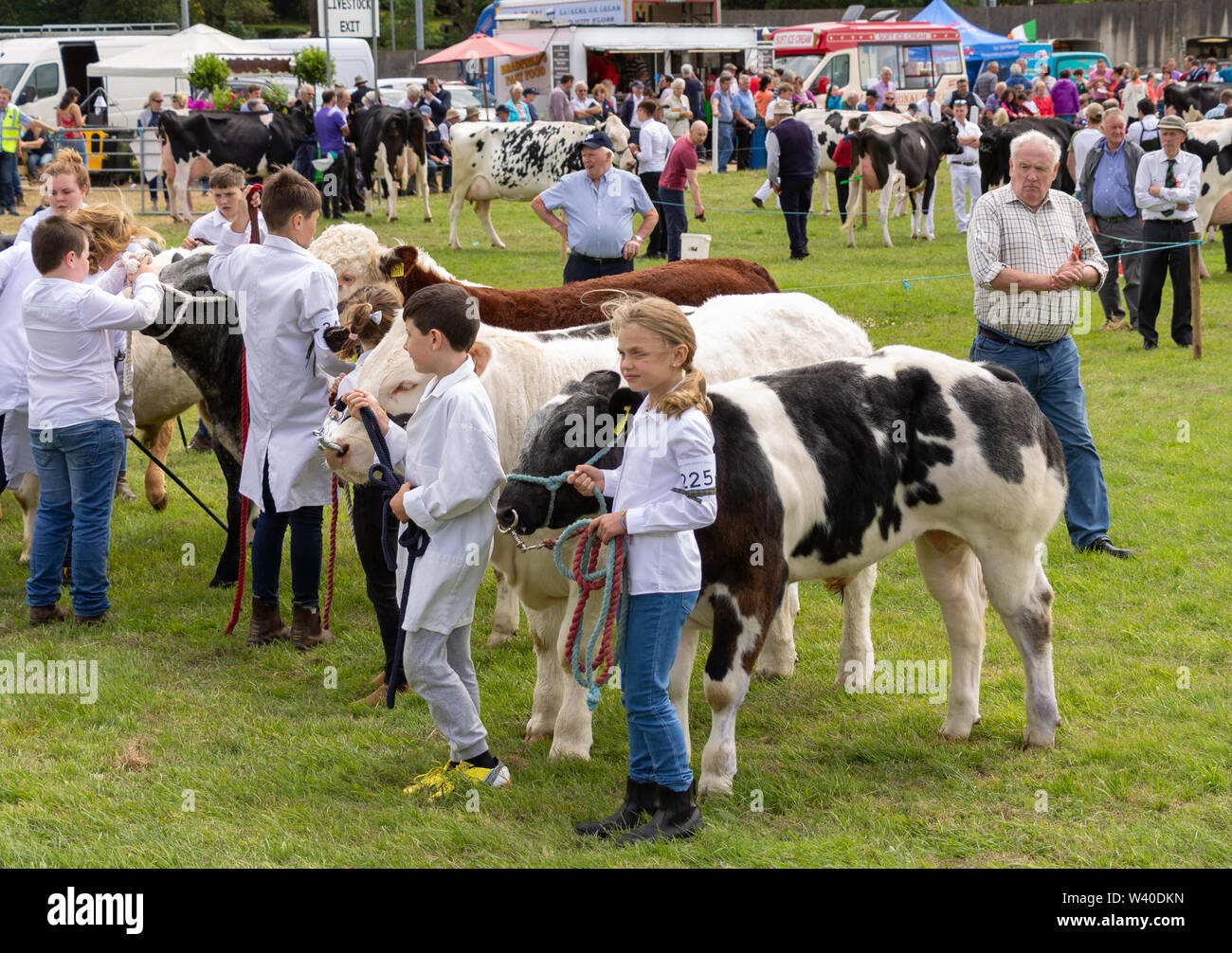 I bambini che mostrano un bestiame uno spettacolo agricolo Foto Stock